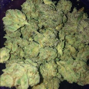 Meet your Posher, Shawn